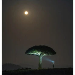 Ledlenser HF6R Signature Rechargeable RGB Headlamp (1000 Lumens, 170 Metres -Outdoor Equipment Store V8pH6ilPn6YdnWh5er3mNbkeCtr15j metaU2NyZWVuc2hvdCAyMDIzLTEwLTE4IGF0IDEyLjQ1LjAzIHBtLnBuZw3D3D