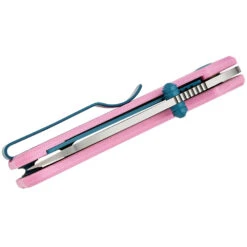 CIVIVI Baby Banter, Powder Pink G10 With Satin Nitro-V Blade, C19068S-10 -Outdoor Equipment Store rXCDz7KMvrRYuN0FzRpDtJKWPCO28E metaQzE5MDY4Uy0xMF80LmpwZWc3D