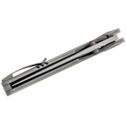 WE Knife Co Thug XL, Grey Titanium With Hand Rubbed Satin CPM-20CV Blade, WE20028D-1 -Outdoor Equipment Store rz1Wrl2ng8XwbMisT8JDfVjQVwFyFE metadGh1ZyBYTFdFSzIwMDI4RDFfNC5qcGVn